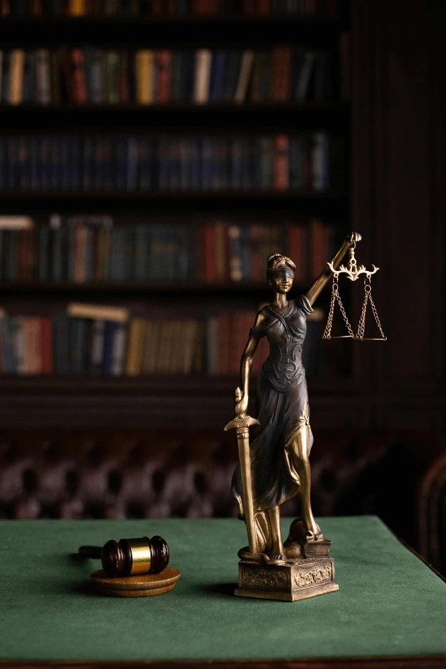 court system